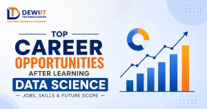 Career After Learning Data Science
